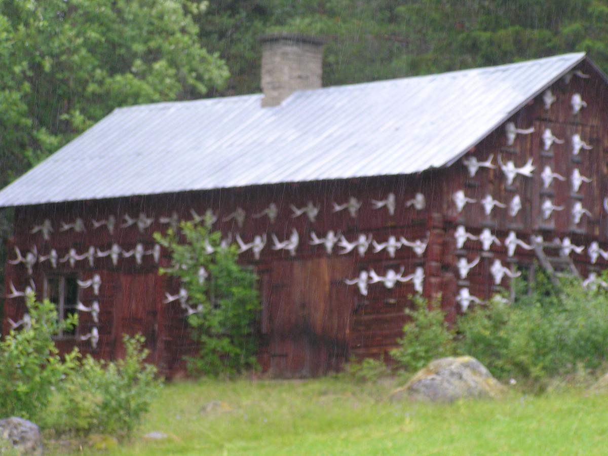 Hotel Jakt&fiskecamp 2*